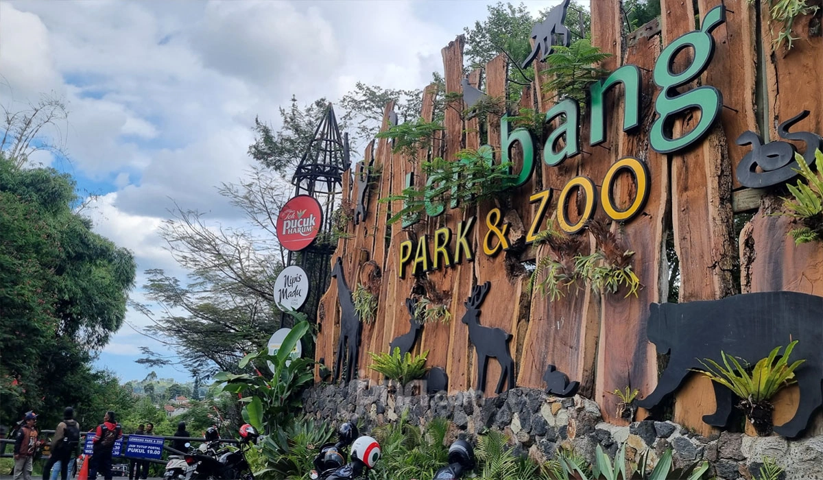 Panik! Lembang Park & Zoo Tutup Sementara Setelah Macan Tutul Kabur