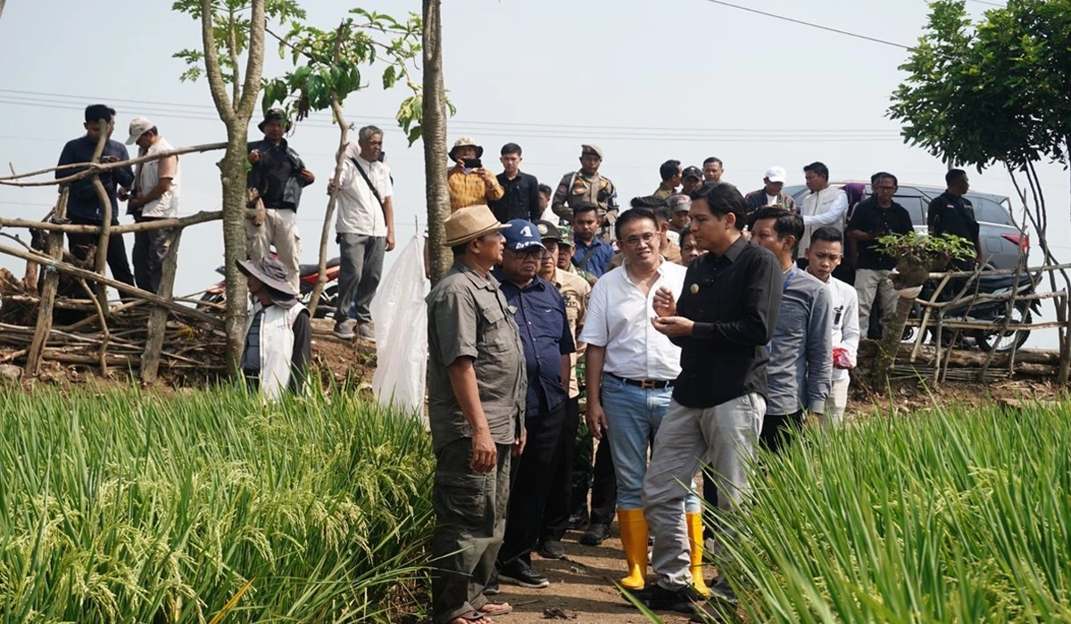 Lucky-Hakim-Ajak-Petani-Muda-Indramayu-Naikin-Produktivitas-Padi
