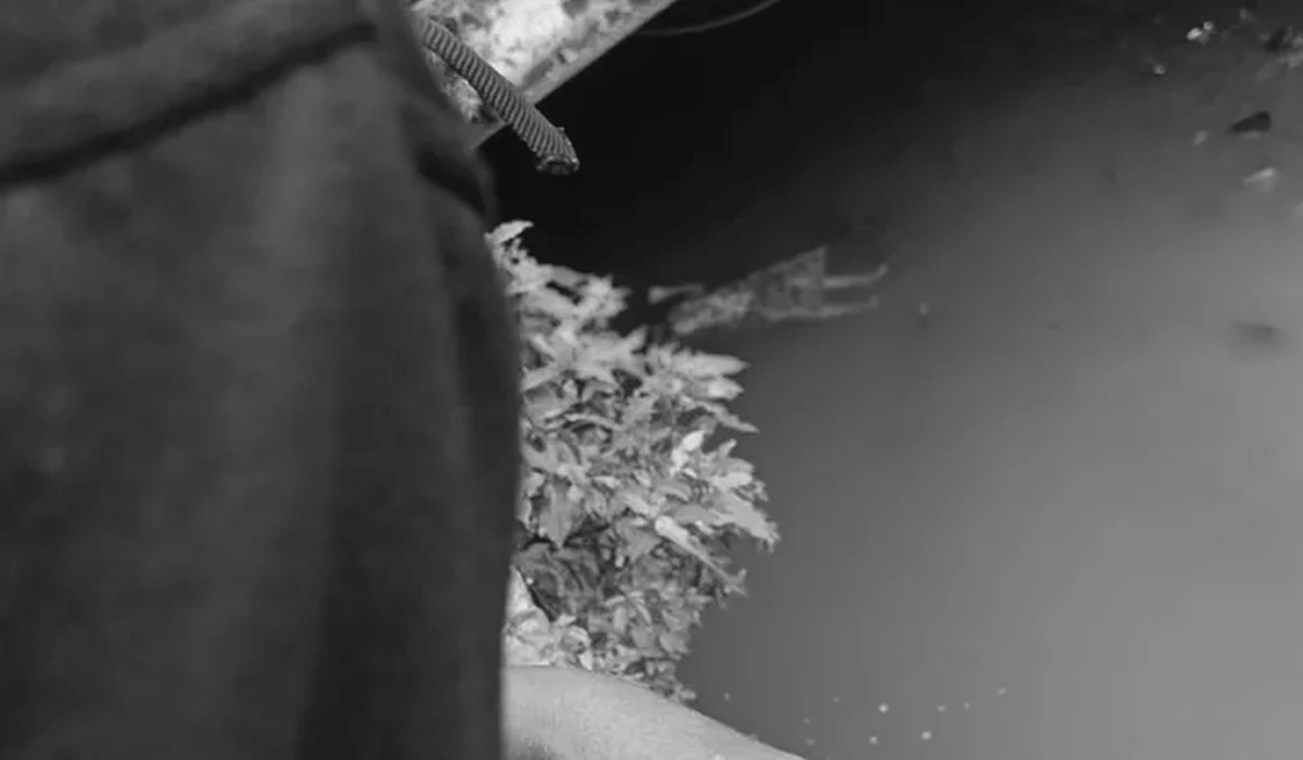 Geger di Bandung: Jasad Wanita Berdaster Ditemukan Mengambang Di Sungai Cipamokolan