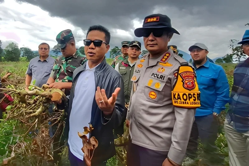 Upaya Bupati Bandung Tangani Perusakan Teh di Pangalengan