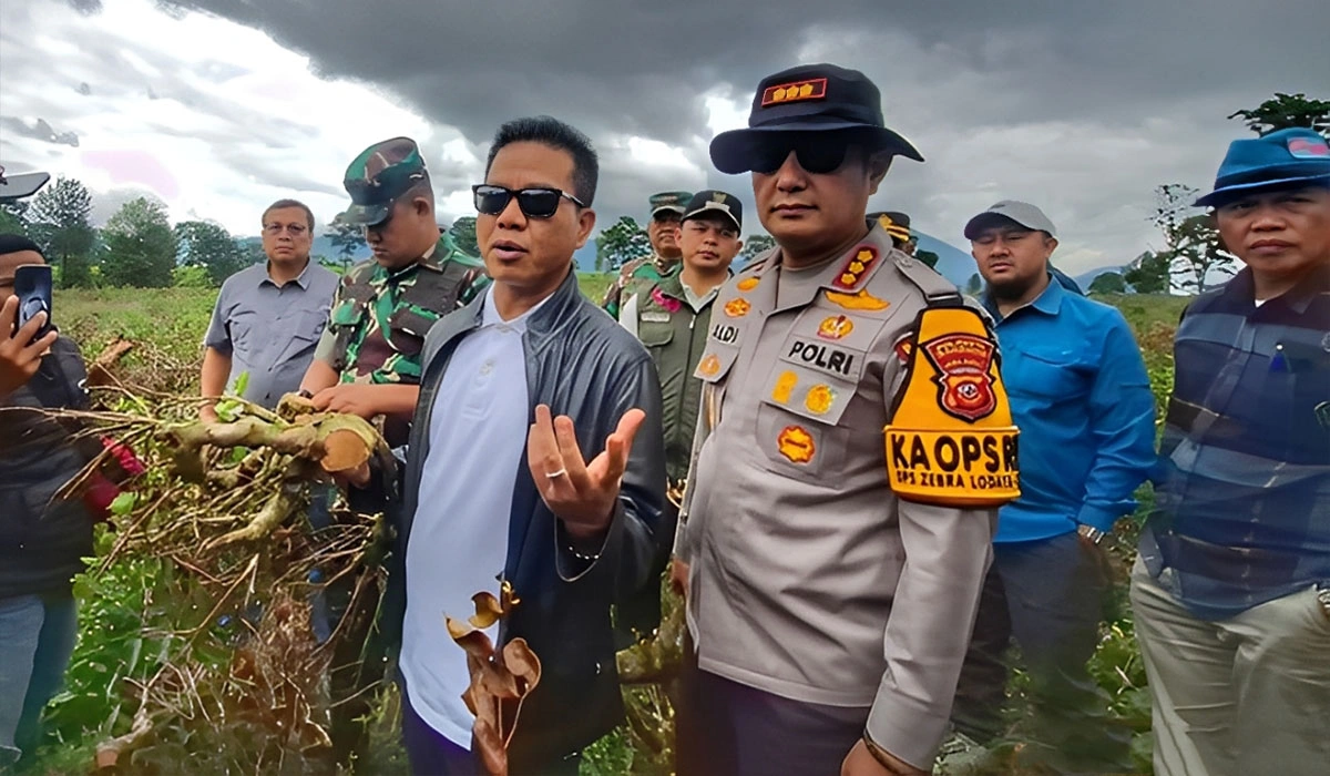 Upaya Bupati Bandung Tangani Perusakan Teh di Pangalengan